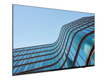 ThinkVision E55 LFD 55" Klass (54.6" visbar) LED-bakgrundsbelyst LCD-skärm