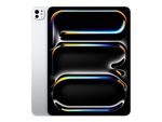 13-inch iPad Pro M5 Wi-Fi
