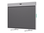 Rally Board 65