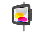 IPad Pro 12.9" (3-6th Gen) Space Enclosure Rail Mount monteringssats