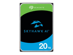SkyHawk AI ST20000VE004